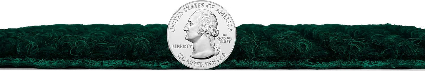 KOECKRITZ Heavy Duty Durable All Weather Indoor/Outdoor Non Slip Entrance Mat Rugs and Runners for Office Business Building Home Garage Front Door (3' x 20', Green)